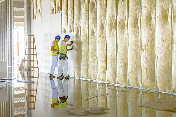Best Insulation Maintenance and Repair in Millen, GA